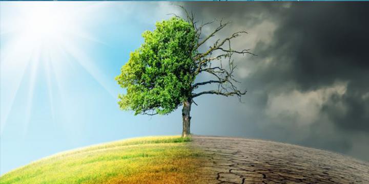 immagine del corso IL CAMBIAMENTO CLIMATICO: FRA BUFALE ED EVIDENZE SCIENTIFICHE - weekend culturale