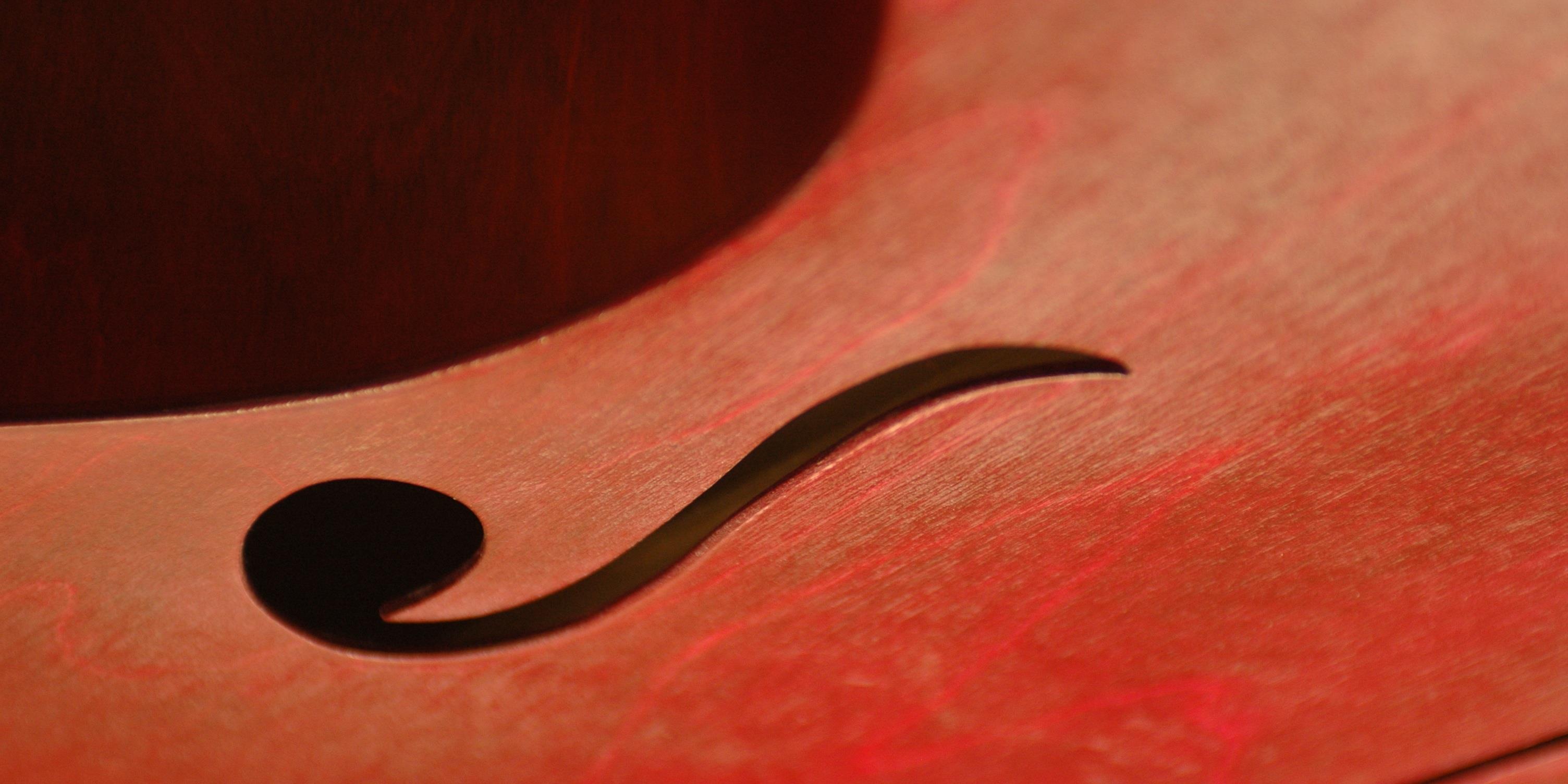 immagine del corso VIOLONCELLO - STRUMENTI MUSICALI - LEZIONI INDIVIDUALI